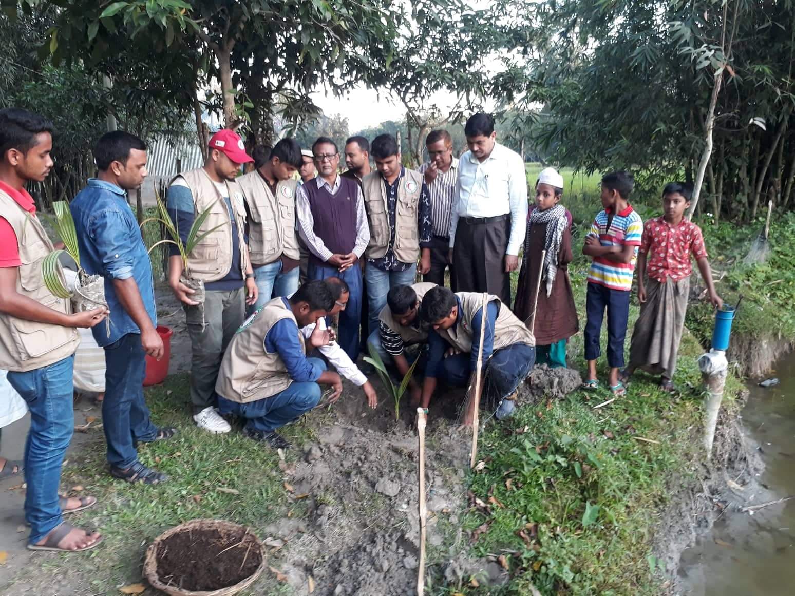 বজ্রপাত ও প্রাকৃতিক দুর্যোগ কমাতে  কুড়িগ্রামে তাল গাছের চারা রোপন