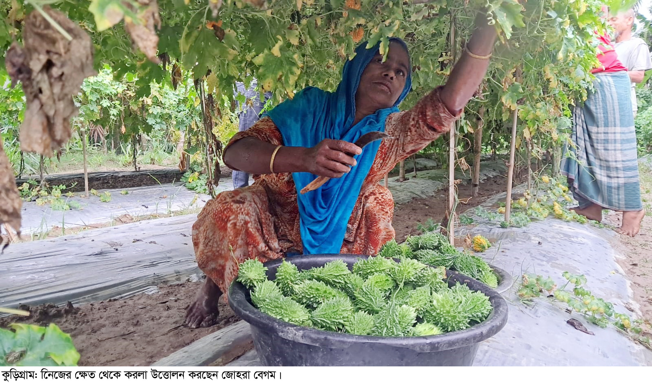 সবজী বিক্রি করেই স্বাবলম্বী জোহরা।